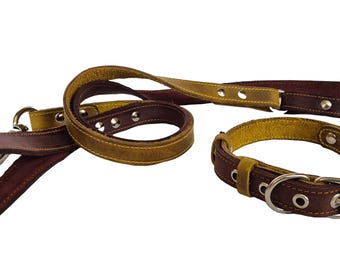 Two-Tone Leather Dog Collar & Leash Set: Durable Design for Medium/Large Dogs