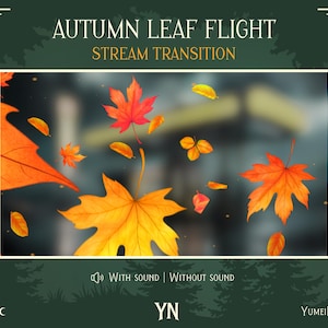 Overgang herfstblad herfststroom | Geanimeerde Stinger met geluid | Herfstbladeren | Gezellige herfststroom
