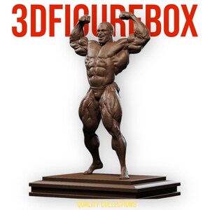 Ronnie Coleman, figure dipinte in 3D, action figure, sculture in miniatura fatte a mano, statuette da regalo