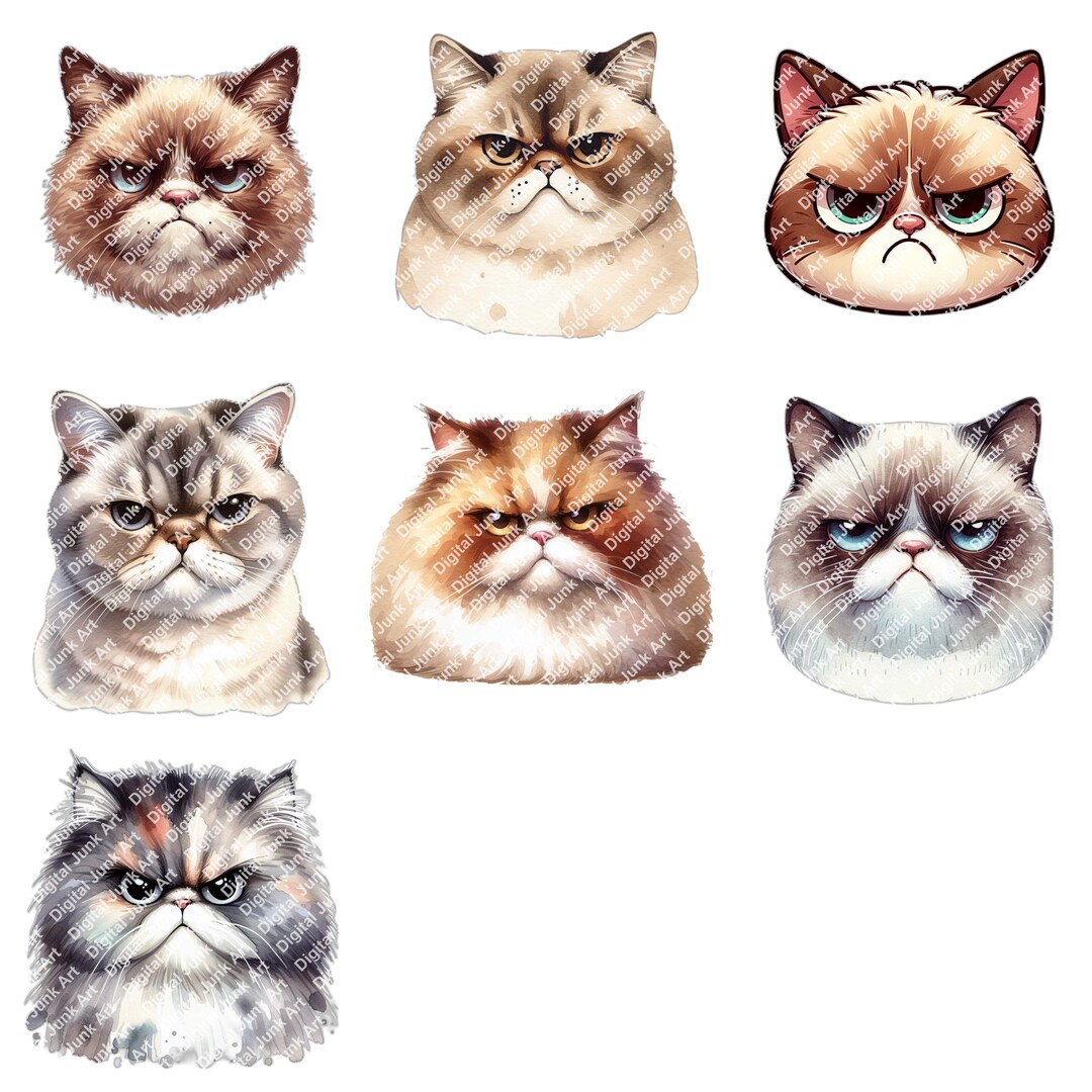 Grumpy Cat Clipart Set: Moody Feline Pngs for Crafts (digital Download ...