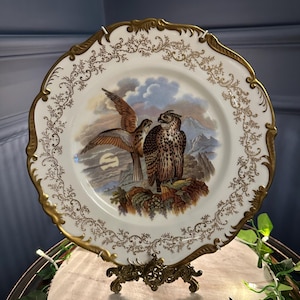 Limited Edition Coalport Falcons Plate: Hand-Painted Bone China, 22k Gold Gilded