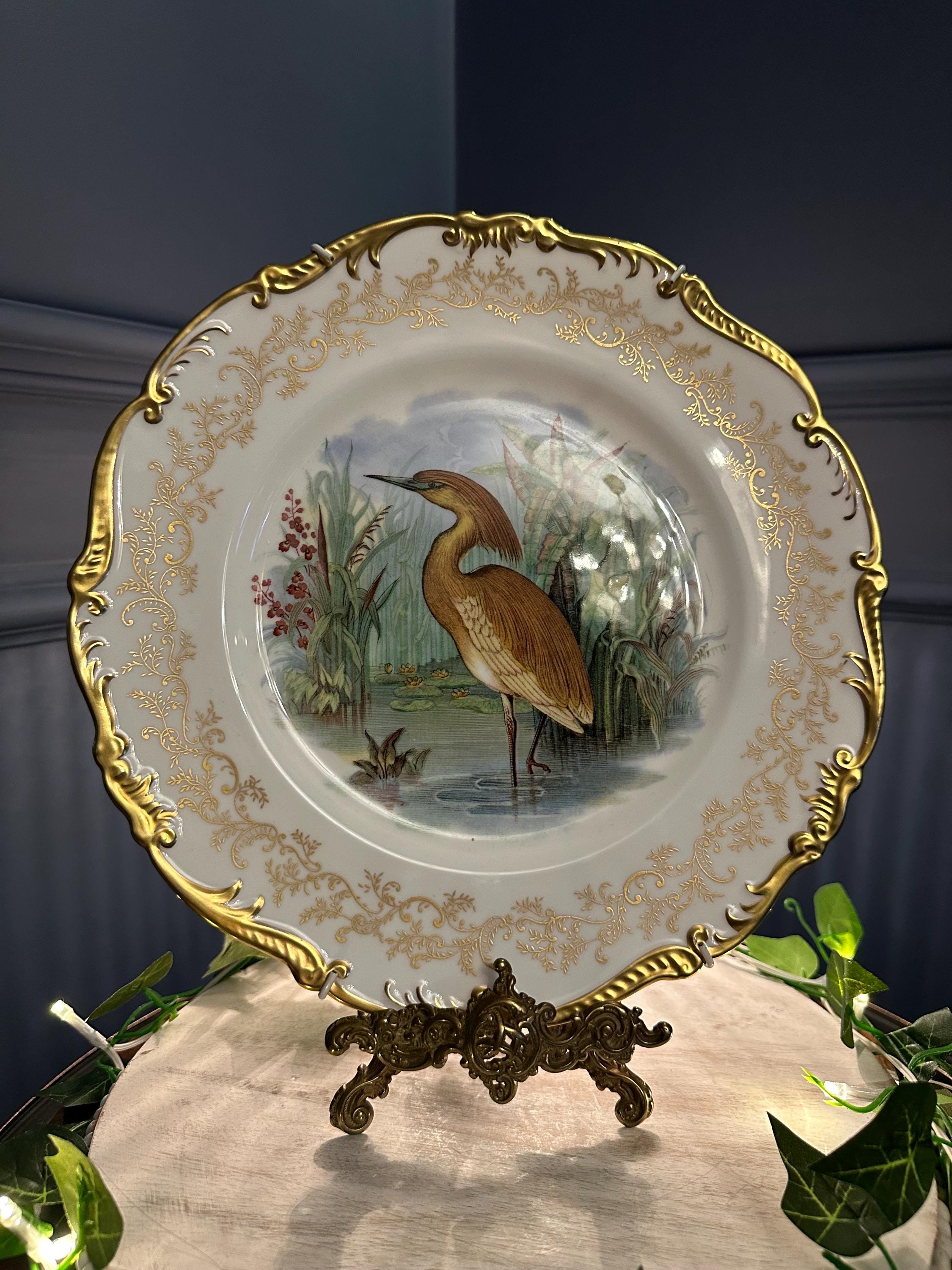 Coalport Bone China - Etsy