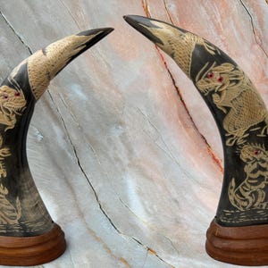 Hand-Carved Water Buffalo Horns: Tiger & Phoenix Design, Asian Tribal Decor