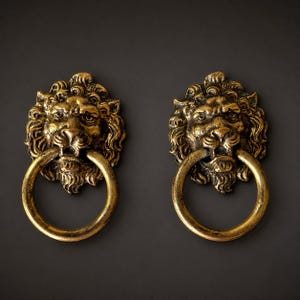 May include: A pair of antique brass-colored metal door knockers, each featuring a detailed lion head sculpture with a circular ring held in the lion's mouth. The finish has a weathered, dark patina with highlights on the raised relief details.