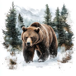 10 Bear in Winter Clipart, 10 High Quality JPGs, Digital Download, Watercolor Clipart, Junk Journals, Scrapbooking, Digital Paper Crafts