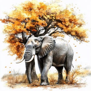 May include: A watercolour painting of an elephant beneath a tree with vibrant, golden-orange foliage. The elephant is depicted in grey, with prominent tusks. The setting is a savanna, with dry grass and fallen leaves.