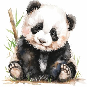 12 clipart de panda, 12 JPGs de alta qualidade, download digital, impressão de panda, gráficos para impressão, artesanato em papel digital, criação de cartões, scrapbooking