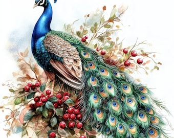 10 Adorable Peacock Clipart 2, 10 High Quality JPGs, Digital Download, Paper Craft, Junk Journal, Gorgeous Peacock, Watercolor Clipart