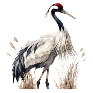 10 Japanese Crane Clipart, 10 High Quality JPGs, Digital Download, Crane Clipart, Nursery Art, Digital Paper Craft, Clipart, Card Making