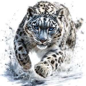 10 snöleopard clipart, 10 högkvalitativa JPG-bilder, digital nedladdning, papperspyssel, skräpjournaler, scrapbooking, utskrivbar akvarell clipart