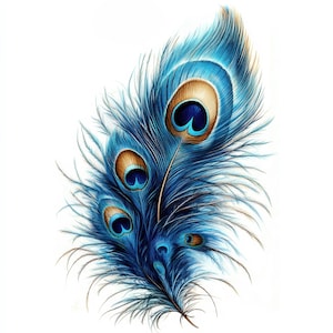 10 Peacock Feather Clipart, 10 High Quality JPGs, Digital Download, Gorgeous Peacock, Watercolor Clipart, Paper Craft, Junk Journal, Art