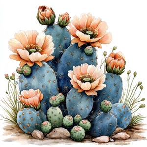 10 Cactus in Desert Clipart, 10 High Quality JPGs, Digital Download, Blooming Cactus, Watercolor Clipart, Paper Craft, Junk Journals