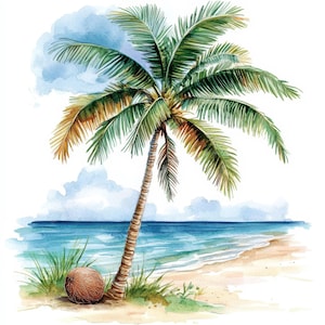 May include: Watercolour illustration of a tropical beach scene. A palm tree with green fronds and a brown trunk leans towards the ocean. A coconut rests on the sandy shore, with blue water and sky in the background.