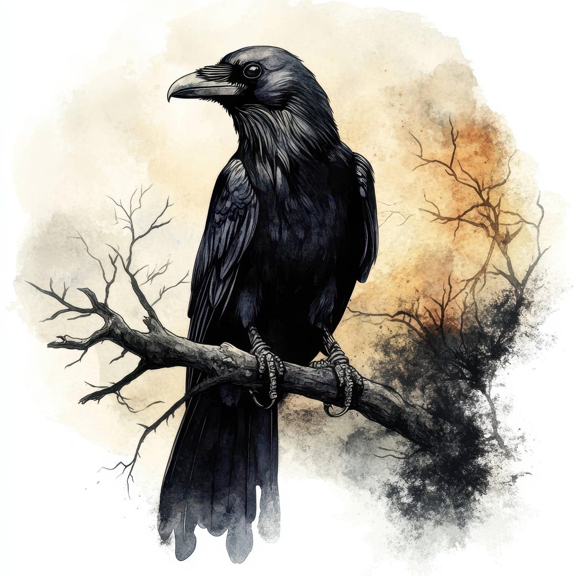 15 Raven on Tree Branch Clipart, Printable Watercolor Clipart, Crow ...