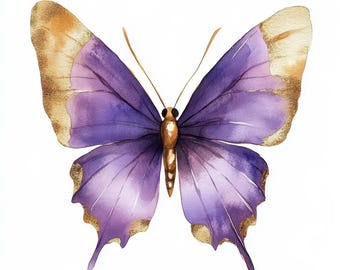 14 Purple Butterfly Clipart, Digital Download, High Quality JPGs, Paper Craft, Gold And Purple Butterflies, Printable Watercolor Clipart