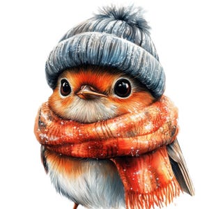 10 clipart de pássaro robin de chapéu de lã, robin de Natal, diário de lixo, artesanato em papel digital, clipart para impressão, JPGs de alta qualidade, download digital