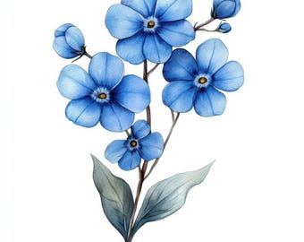 Könnte beinhalten: Aquarell-Illustration einer blühenden Pflanze mit blauen Blüten und grünen Blättern. Die Blüten haben fünf Blütenblätter und gelbe Zentren. Der Stiel der Pflanze ist braun, und die Blätter sind ein gedämpftes Grün.