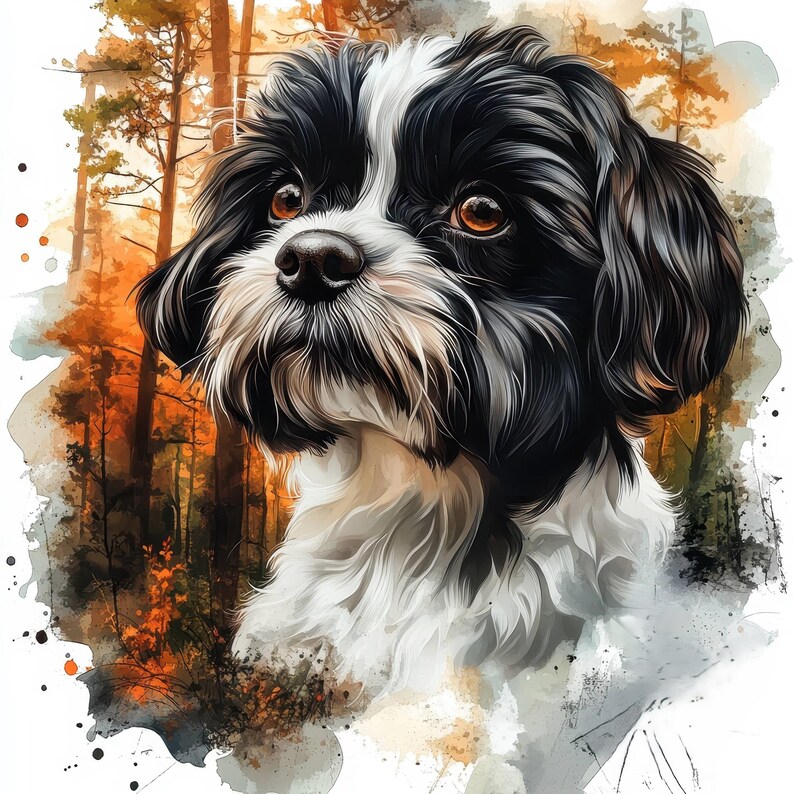 10 Shih Tzu Dog Clipart, Shih Tzu Dog, Printable Watercolor Clipart ...