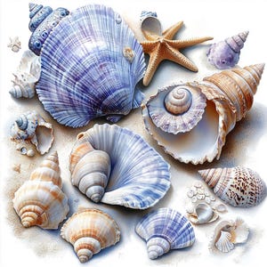 10 Seashells Pearls Clipart, 10 High Quality JPGs, Digital Download, Paper Craft, Junk Journals, Watercolor Clipart, Seashell Clipart