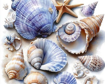 20 輝く真珠のクリップアート | 開いた貝殻のイラスト | 印刷可能な