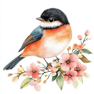 10 clipart de pássaros florais, diários de lixo, JPGs de alta qualidade, artesanato em papel, clipart de pássaros fofos, clipart de aquarela para impressão, download digital