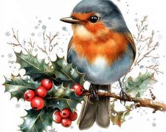 10 Christmas Robin Clipart, 10 High Quality JPGs, Digital Download, Printable Watercolor Clipart, Paper Craft, Junk Journals, Mixed Media