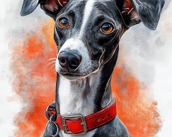 May include: A digital painting of a greyhound dog with a black and white coat, wearing a red leather collar. The dog has brown eyes and a small tag. The background features orange and white brushstrokes.