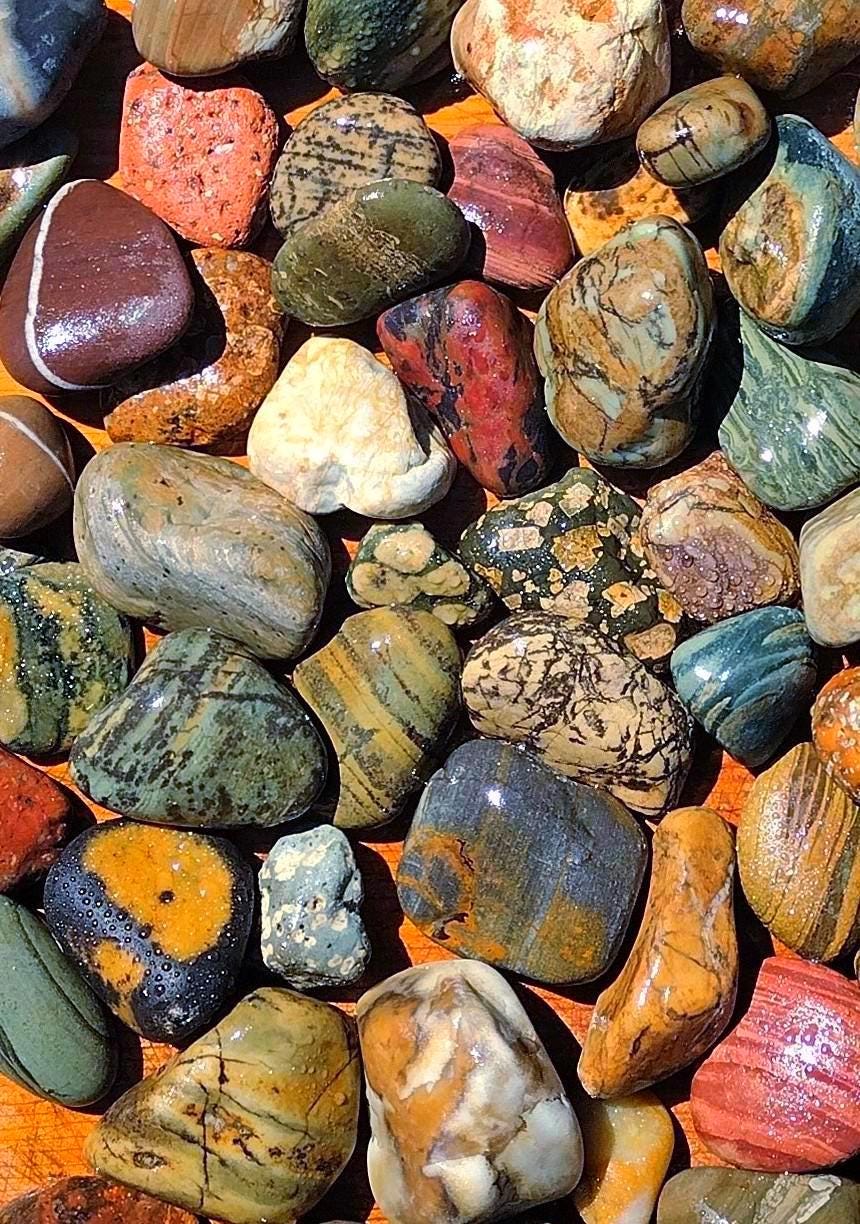 Unique Serving Rocks Beautiful Montana River Rocks Vibrant Colors Unique Banding and ...