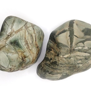 May include: Two smooth, polished river stones with irregular shapes. The left stone features a pale green base with intricate brown and white veining. The right stone displays a darker grey-green surface with bold, dark charcoal-colored linear patterns.