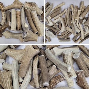 Antlers - Dog Antler Chews All Natural Small Medium Large