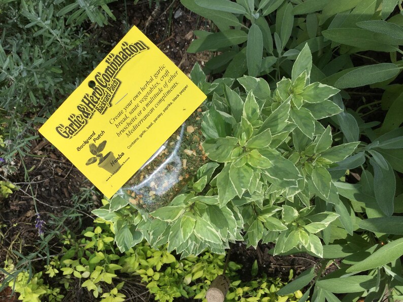 Peut inclure: Un sachet jaune d'herbes s&eacute;ch&eacute;es &eacute;tiquet&eacute; "Garlic & Herb Combination Backyard Patch" avec le texte "Create your own herbal garlic bread, saute vegetables, craft bruschette or a multitude of other Mediterranean compliments." Le sachet est pos&eacute; sur une plante verte.