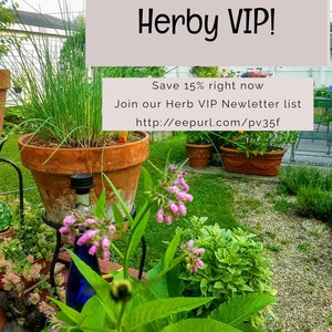 Peut inclure: Devenez un VIP Herby ! &Eacute;conomisez 15 % d&egrave;s maintenant. Rejoignez notre liste de diffusion VIP Herb http://eepurl.com/pv35f. Une sc&egrave;ne de jardin avec des plantes en pot, des fleurs et une bouteille en verre bleu.