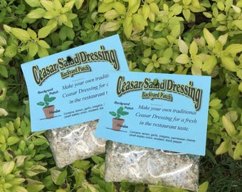 Caesar Salad Dressing Mix: Hand-Blended Herbs & Garlic - Set of 2