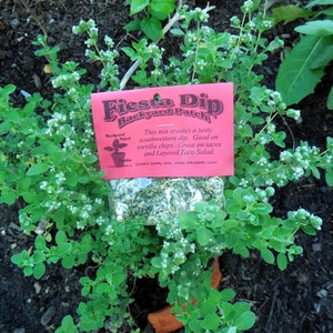 Fiesta Taco Dip Mix for Cooking, Hand-blended salt-free dry HERB MIX