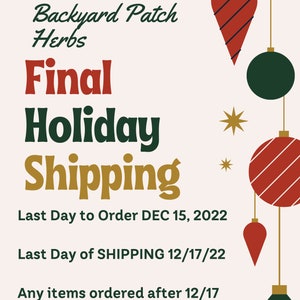 Pu&ograve; includere: Uno sfondo bianco con ornamenti natalizi rossi e verdi appesi a fili dorati. Il testo "Backyard Patch Herbs Final Holiday Shipping" &egrave; in grandi caratteri grassetto. Il testo "Last Day to Order DEC 15, 2022" e "Last Day of SHIPPING 12/17/22" &egrave; in testo nero. Il testo "Any items ordered after 12/17 cannot guarantee delivery by 12/25" &egrave; in testo nero.