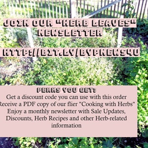 Pu&ograve; includere: Una grafica rosa e bianca con il testo "JOIN OUR "HERB LEAVES" NEWSLETTER" e "HTTP://BIT.LY/BYPNEWS4U". Sotto il testo c'&egrave; un rettangolo rosa con il testo "PERKS YOU GET:" e un elenco di vantaggi per iscriversi alla newsletter. La grafica &egrave; impostata su uno sfondo di piante verdi.