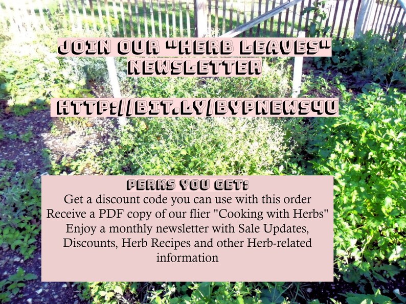 Pu&ograve; includere: Una grafica rosa e bianca con il testo "JOIN OUR "HERB LEAVES" NEWSLETTER" e "HTTP://BIT.LY/BYPNEWS4U". Sotto il testo c'&egrave; un rettangolo rosa con il testo "PERKS YOU GET:" e un elenco di vantaggi per iscriversi alla newsletter. La grafica &egrave; impostata su uno sfondo di piante verdi.