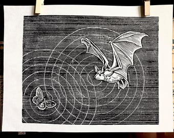 Bat Chasing Moth Echolocation Linocut Print