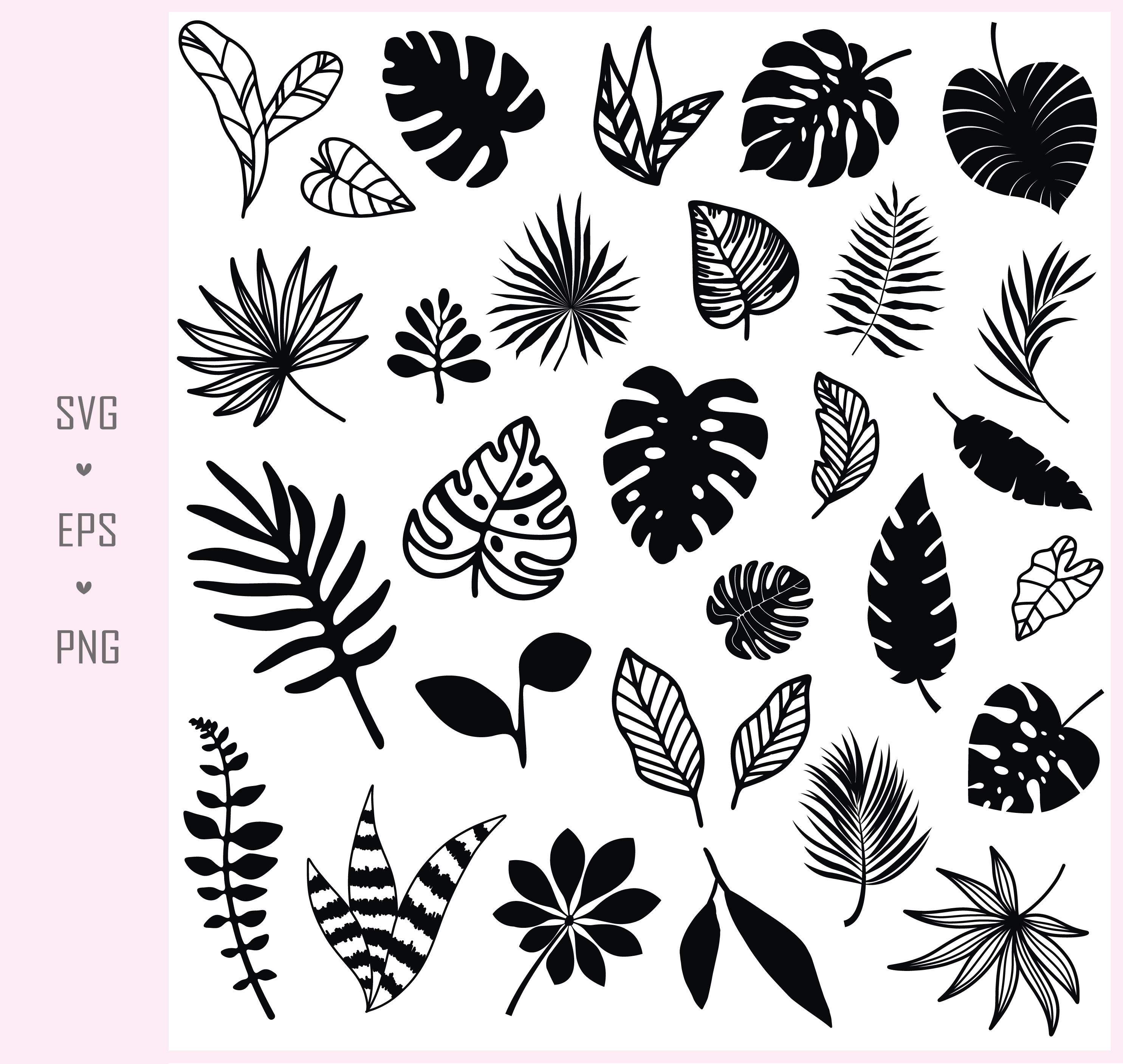 Tropical Leaves Svg Bundle, Monstera Leaf Svg, Jungle Leaves Clipart ...