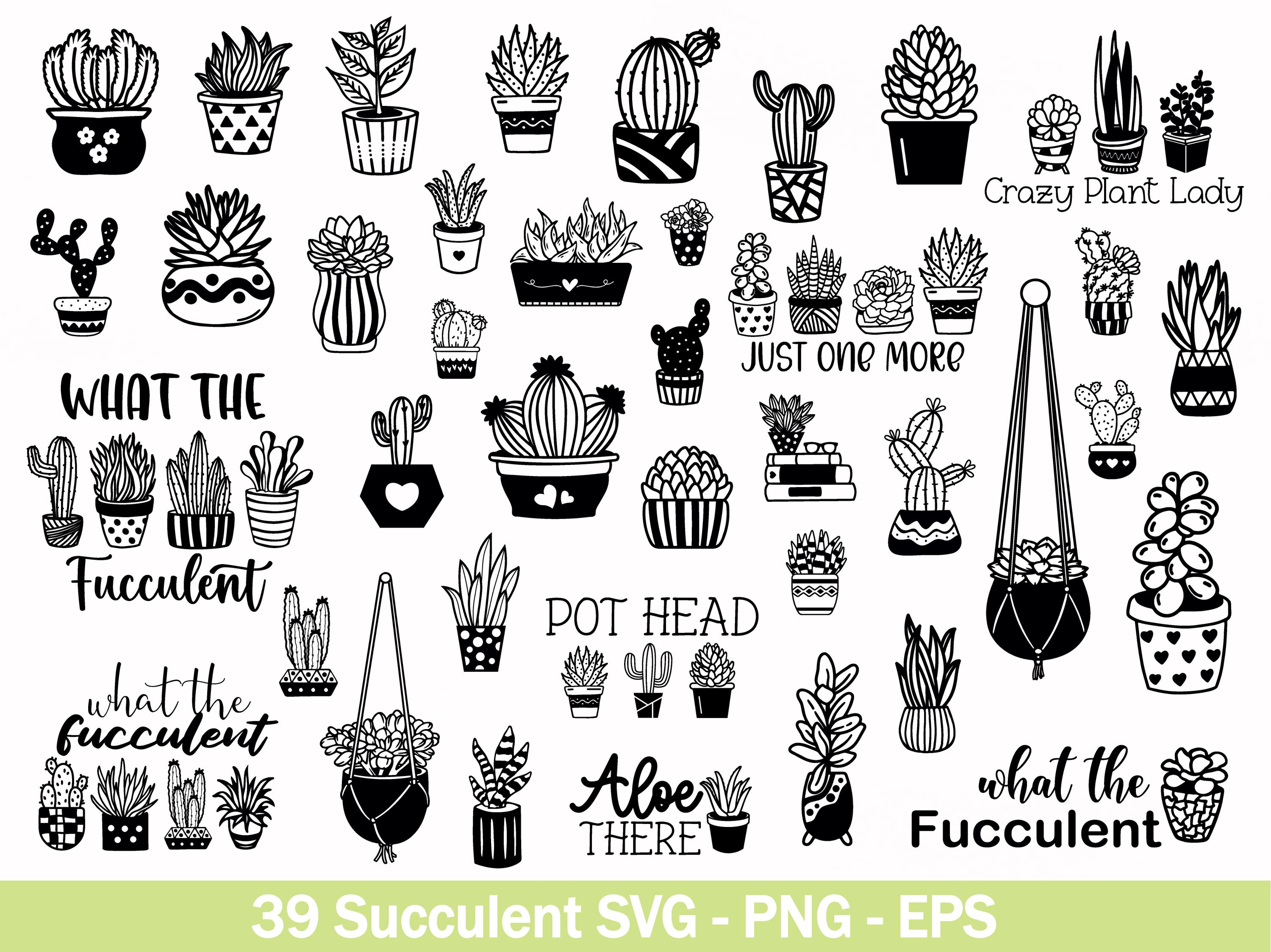 Succulents Line Art - Etsy