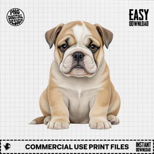 Baby Bulldog Clipart, Cute Puppy Dog Clipart, Baby Nursery Clipart, Dog Clipart, Baby Shower Clipart, Baby Bulldog Png