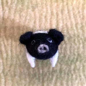 Needlefelted pig - black and white