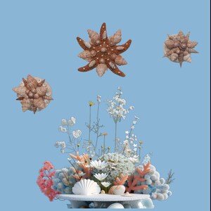 Seashell starfish set 3,Wall Decor, Nautical Home Decor,Coastal Beach decor, perfect Gift, Seashell Art,one of a kind, Handmade,unique gift
