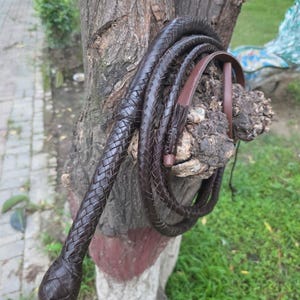 K&ouml;nnte beinhalten: Eine dunkelbraune, geflochtene Lederpeitsche mit Schlaufengriff. Die Peitsche ist aufgerollt und h&auml;ngt an einem Baumstamm. Das geflochtene Design ist &uuml;ber die gesamte L&auml;nge der Peitsche sichtbar.