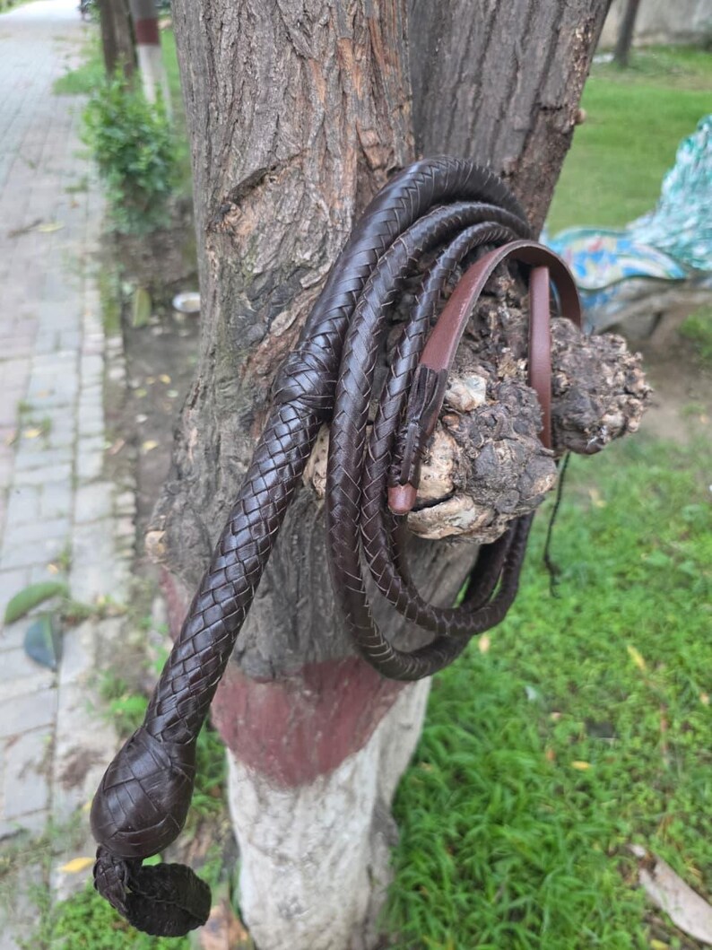 K&ouml;nnte beinhalten: Eine dunkelbraune, geflochtene Lederpeitsche mit Schlaufengriff. Die Peitsche ist aufgerollt und h&auml;ngt an einem Baumstamm. Das geflochtene Design ist &uuml;ber die gesamte L&auml;nge der Peitsche sichtbar.