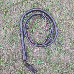 K&ouml;nnte beinhalten: Eine dunkelbraune Lederpeitsche, auf Gras und Erde aufgerollt. Die Peitsche ist geflochten, mit einem Griff und einer geflochtenen Quaste am Ende. Die Farbe der Peitsche ist ein tiefes, sattes Braun.