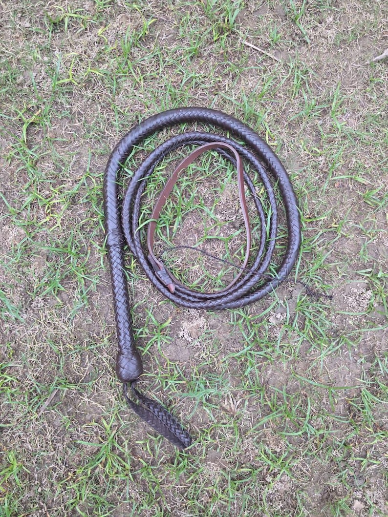 K&ouml;nnte beinhalten: Eine dunkelbraune Lederpeitsche, auf Gras und Erde aufgerollt. Die Peitsche ist geflochten, mit einem Griff und einer geflochtenen Quaste am Ende. Die Farbe der Peitsche ist ein tiefes, sattes Braun.