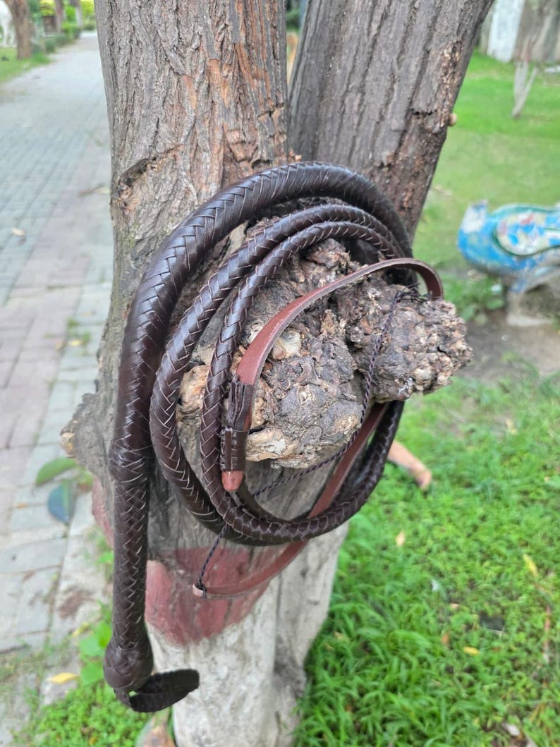 K&ouml;nnte beinhalten: Eine dunkelbraune Lederpeitsche, aufgerollt und an einem Baumstamm befestigt. Die Peitsche hat einen geflochtenen Griff und eine lange, sich verj&uuml;ngende Peitschenschnur. Das Leder scheint gut verarbeitet zu sein. Ein Werkzeug oder Accessoire.