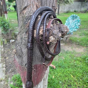 K&ouml;nnte beinhalten: Eine dunkelbraune Lederpeitsche mit geflochtenem Griff und geknotetem Ende, aufgerollt und an einem Baumstamm h&auml;ngend. Die Peitsche hat eine satte, tiefbraune Farbe mit glatter, polierter Oberfl&auml;che. Der Hintergrund ist eine verschwommene Ansicht einer gr&uuml;nen Wiese.