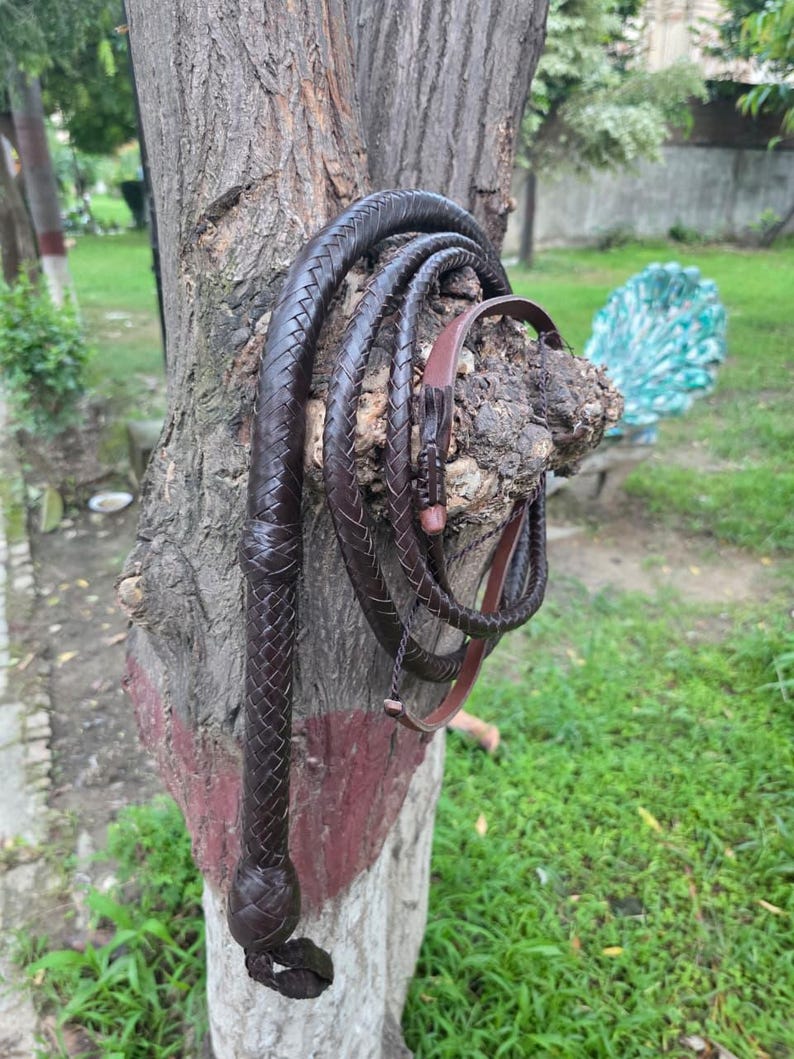 K&ouml;nnte beinhalten: Eine dunkelbraune Lederpeitsche mit geflochtenem Griff und geknotetem Ende, aufgerollt und an einem Baumstamm h&auml;ngend. Die Peitsche hat eine satte, tiefbraune Farbe mit glatter, polierter Oberfl&auml;che. Der Hintergrund ist eine verschwommene Ansicht einer gr&uuml;nen Wiese.